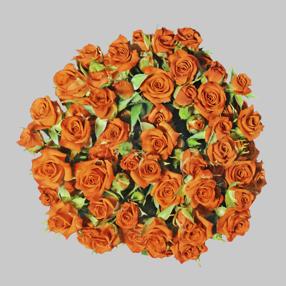 Neorange