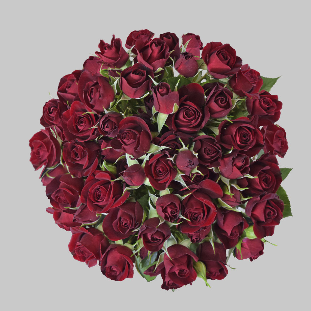 Rubyred