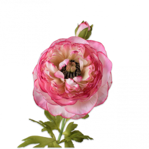 Weeding Flowers